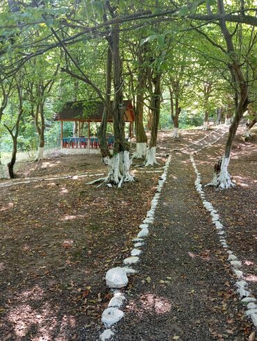 Uzunmüddətli kirayə evlər: 3000 kv. m, 3 otaqlı -da lalafo.az — 4 Uzunmüddətli kirayə evlər: 3000 kv. m, 3 otaqlı — 4