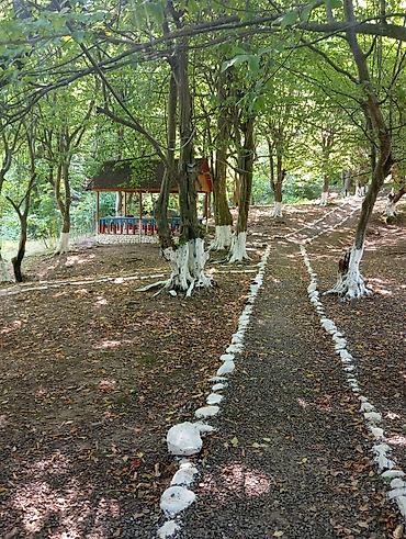 Günlük kirayə evlər: Masalli rayonu. İsti su istirahet merkezine yaxin. Turan restoranina — 33