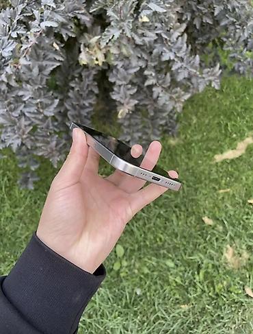 сумка новый: IPhone 15 Pro, Б/у, 128 ГБ, Серебристый, Чехол, 100 % — 5