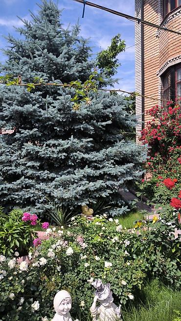 Продажа коттеджей и домов: Продам дом 2 этажа с подвалом . Участок разделен на два участка — 2