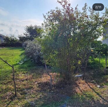 Həyət evləri və villaların satışı: Astara rayonunun Səncərədi kəndində yolun kənarında Futbol stadionun -da lalafo.az — 2 Həyət evləri və villaların satışı: Astara rayonunun Səncərədi kəndində yolun kənarında Futbol stadionun — 2