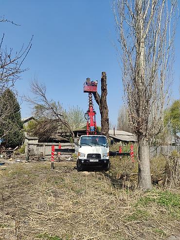 Услуги автокрана: Стрела 28 м, 300 т — 9