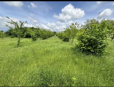 Torpaq sahələrinin satışı: 22 sot, Mülkiyyətçi, Kupça (Çıxarış) -da lalafo.az — 10 Torpaq sahələrinin satışı: 22 sot, Mülkiyyətçi, Kupça (Çıxarış) — 10