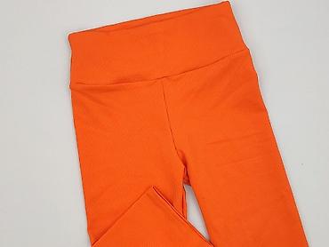 olimp zara: Legginsy Krótkie damskie, rozmiar XL — 1