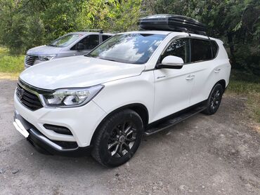 runx alex: Белый внедорожник SsangYong Rexton с черными колесами и багажником на