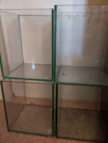столы сундуки: Ёмкости стеклянные 7л 4 штуки полки книжные журнальный столик под