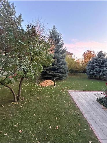 ищу квартиру в беловодске: 220 м², 5 комнат, Парам без детей — 6