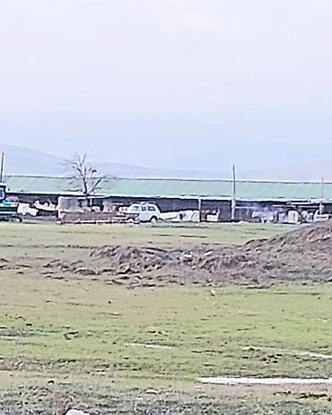 Torpaq sahələrinin satışı: 20000 sot, Kənd təsərrüfatı, Kupça (Çıxarış) — 4