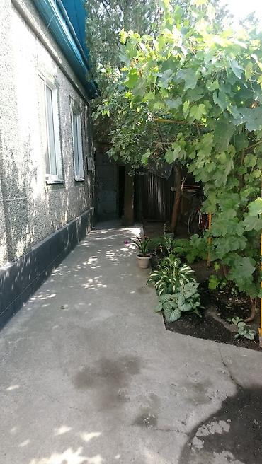 Продажа коттеджей и домов: Продаю дом в центре села Ленинского по улице Восточная 127. Участок — 15