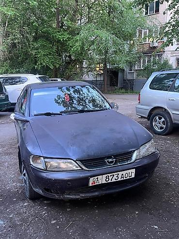 ключ опель: Opel Vectra: 1996 г., 1.6 л, Механика, Бензин, Седан — 1
