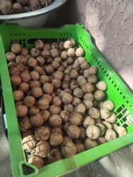орехи продам: Продаю грецкие домашние орехи,собрали этой осеннью, хороший вкусный