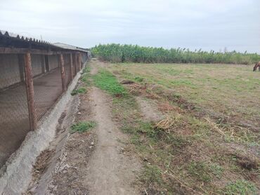 Torpaq sahələrinin satışı: 200 sot, Kənd təsərrüfatı, Mülkiyyətçi, Kupça (Çıxarış) -da lalafo.az — 7 Torpaq sahələrinin satışı: 200 sot, Kənd təsərrüfatı, Mülkiyyətçi, Kupça (Çıxarış) — 7