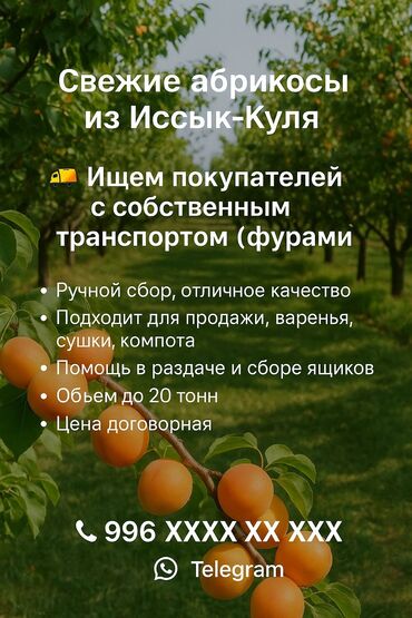 купить фасовочные пакеты для пельменей: Пластик Ящик, Жаңы