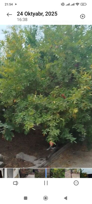 Həyət evləri və villaların satışı: 3 otaqlı, 90 kv. m — 6