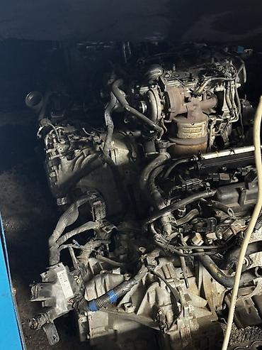 ford transit farası: Avtomobil ehtiyat hissələri – faralar, arxa stoplar, sürətlər qutuları — 6