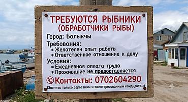 али повар: Требуется Разнорабочий на производство, Оплата: Ежедневно, Без опыта — 1