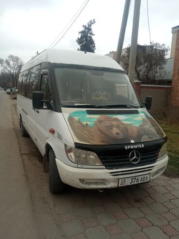 мерс меняю: Mercedes-Benz Sprinter: 2001 г., 2.7 л, Механика, Дизель, Бус