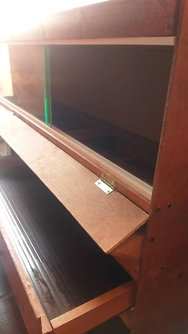 Птицы: Брудеры для цыплят. размеры 150 х 50 х 65 см. Яйцо Брама — 7