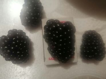 Ежевика: Ежевика — 6