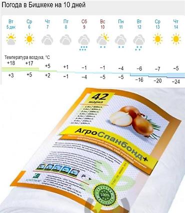 Үй жана бакча үчүн бардык: Агроспан 42-марка 4.2 метр * 200 метр= 7 600 с #Агроспан.агроволокно — 5
