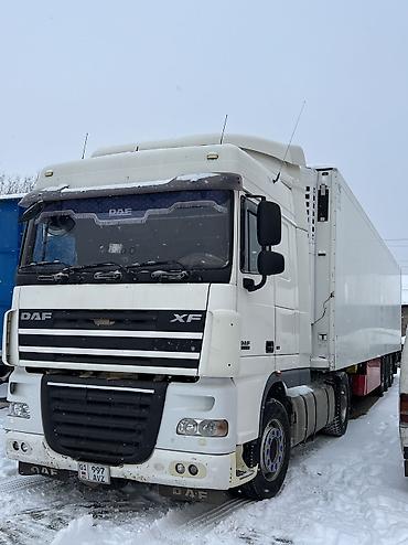 Тягачи: Тягач, DAF, 2008 г., Без прицепа — 9