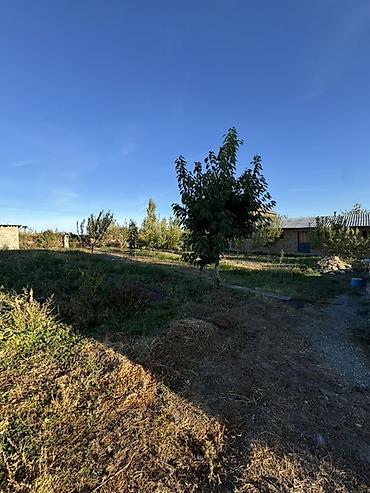 Продажа дачи: 2 комнаты, 35 м², 12 соток, Электричество, Холодная вода — 5