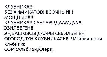 алма ыссык кол: Кулпунай Альбион, Чекене — 3