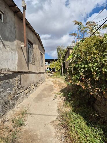 Həyət evləri və villaların satışı: Sabunçu qəs. 2 otaqlı, 50 kv. m, Orta təmir -da lalafo.az — 17 Həyət evləri və villaların satışı: Sabunçu qəs. 2 otaqlı, 50 kv. m, Orta təmir — 17