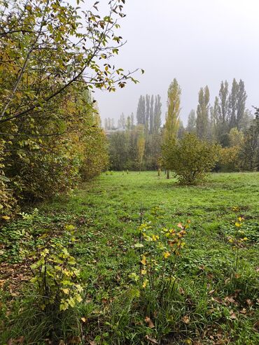 torpaq xacmaz: 28 sot, Maklerlər narahat etməsin, Kupça (Çıxarış)