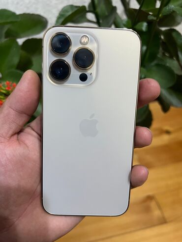 Apple iPhone: IPhone 13 Pro, Колдонулган, 128 ГБ, Алтын, Кабель, Каптама, Коргоочу айнек, 82 %