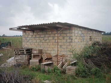 Torpaq sahələrinin satışı: 30 sot, Kənd təsərrüfatı, Mülkiyyətçi, Kupça (Çıxarış) -da lalafo.az — 6 Torpaq sahələrinin satışı: 30 sot, Kənd təsərrüfatı, Mülkiyyətçi, Kupça (Çıxarış) — 6