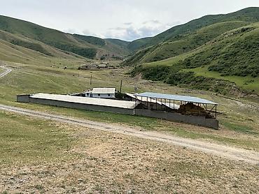 Продажа участков: 100 соток, Красная книга — 2