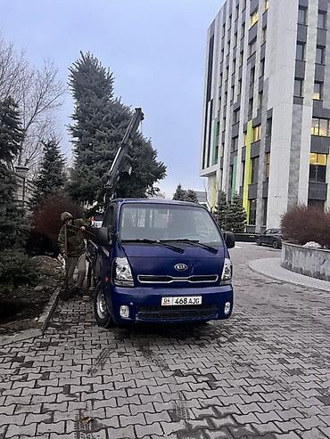 Услуги манипулятора: Стрела 4 м, 1 т, Борт 2 кг — 7