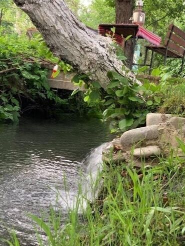 Bağ evlərinin kirayəsi: 80000 kv. m, 4 otaqlı, Hovuzlu, Qaz, İşıq, Artezian quyusu — 28