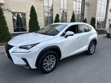 Lexus: Lexus NX: 2018 г., 2.5 л, Вариатор, Гибрид, Хэтчбэк