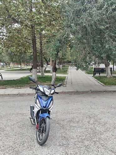 şirvan mapet: LIFAN - s50, 80 sm3, 2024 il, 10000 km