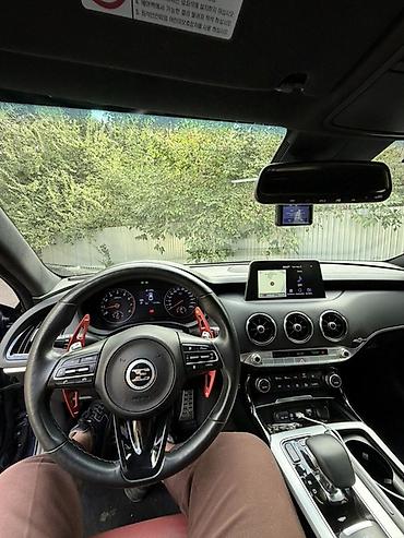 перекурить авто: Kia Stinger: 2020 г., 2 л, Автомат, Бензин, Фастбек — 7