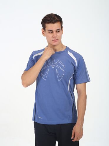 Футболки: Футболка Adidas Treino Tee Original !!! Категория - Adidas Climacool — 26