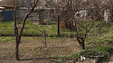 Продажа коттеджей и домов: Срочно продаю Дом, участок 7 сот. Токмок ул Молодежная, сахзавод — 9