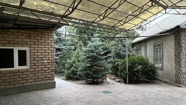 Отели и хостелы: Сдаются спальные места в уютном хостеле! Ищешь жильё в комфортных at lalafo.kg — 12 Отели и хостелы: Сдаются спальные места в уютном хостеле! Ищешь жильё в комфортных — 12