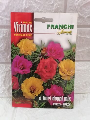 Semena i sadnice: Cena 500din/kesica — 24