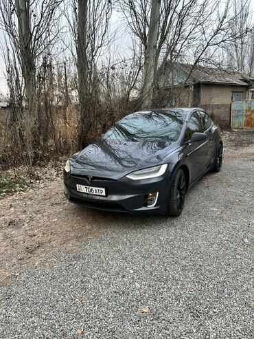 Tesla: Tesla Model X: 2020 г., 0.1 л, Механика, Электромобиль, Кроссовер — 2
