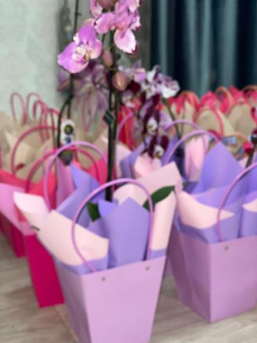 Каланхоэ: Каланхоэ в декоративном пакете‑кашпо “Specially” - Живые горшечные — 12