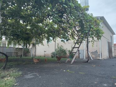 Həyət evləri və villaların satışı: Satılır: yaşayış evi və yanında fəaliyyət göstərən kiçik market binası — 9