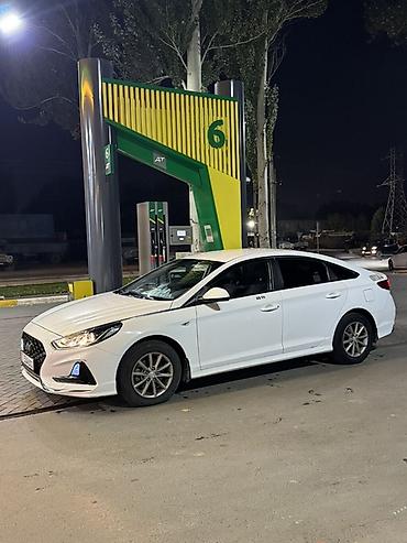 sonata 2025: Hyundai Sonata: 2019 г., Автомат, Бензин, Лифтбек — 1