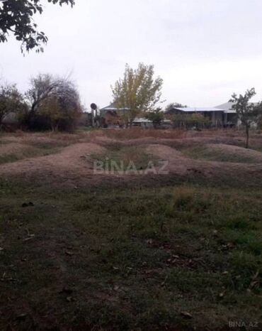 binə mehriban qonşular: 20 sot, Biznes üçün, Maklerlər narahat etməsin, Kupça (Çıxarış)