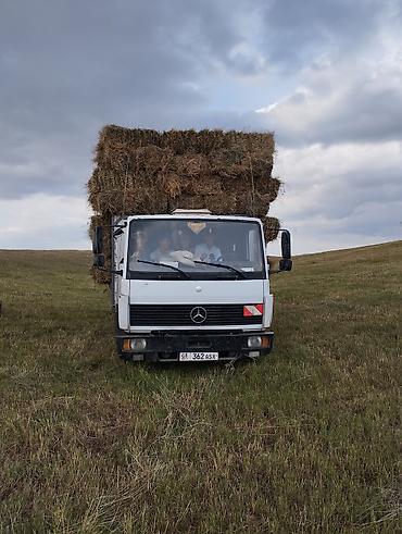 тс кg: Грузовик, Mercedes-Benz, Стандарт, 7 т, Б/у — 3