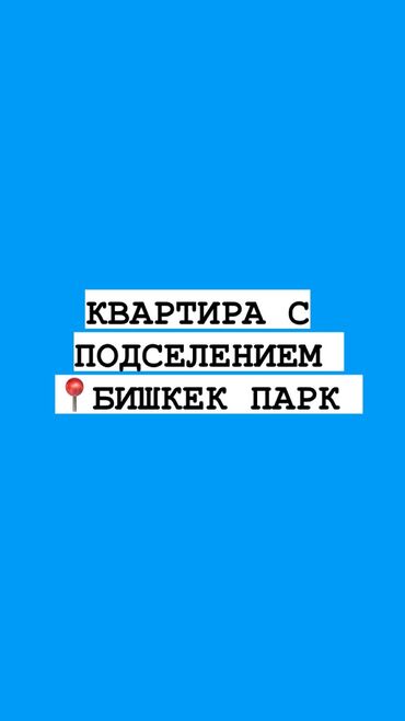 однокомнатная квартира на месяц: 1 бөлмө, Менчик ээси, Чогуу жашоо менен, Толугу менен эмереги бар