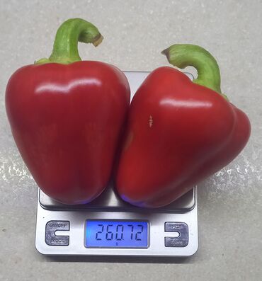 Другие товары для дома и сада: Гидропоника!!!!- это метод автоматезированного выращивания — 22