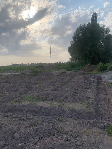 Экскаваторы: Экскаватор, Гусеничный — 7